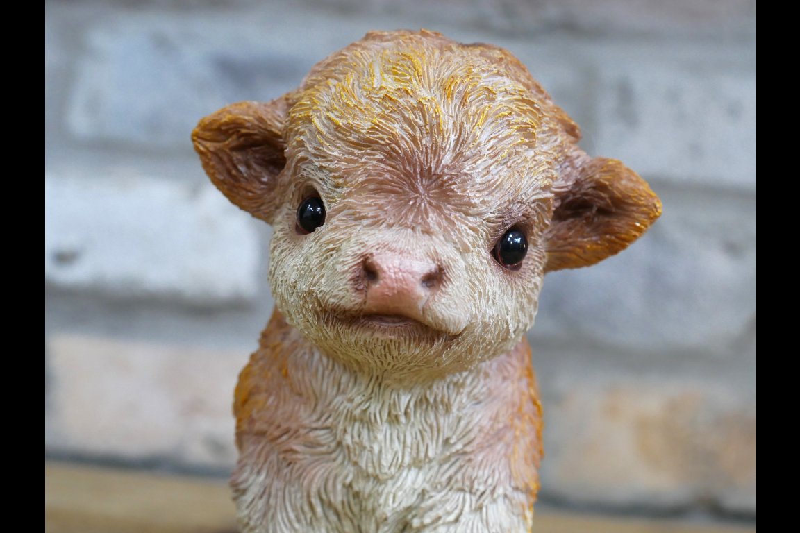 Tiny Baby Cow