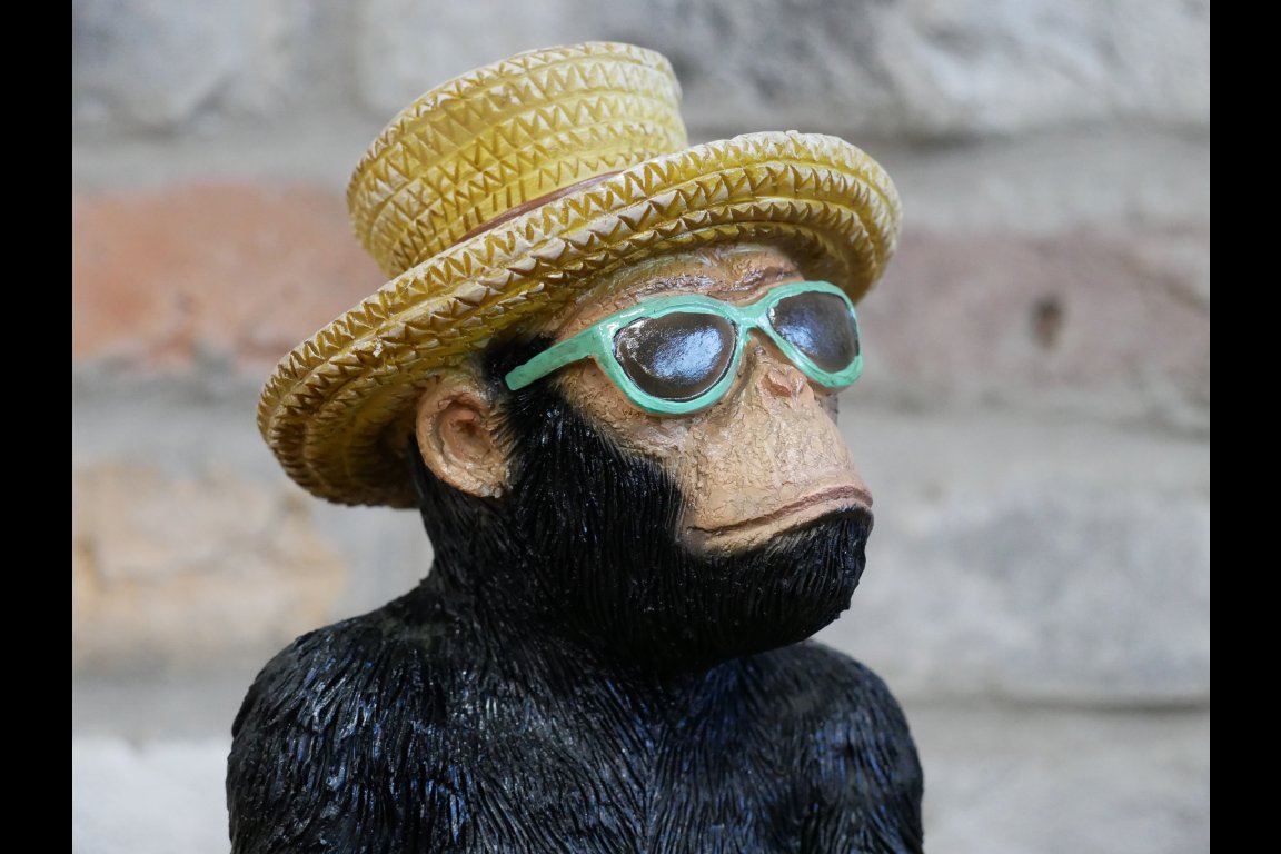 Holiday Monkey