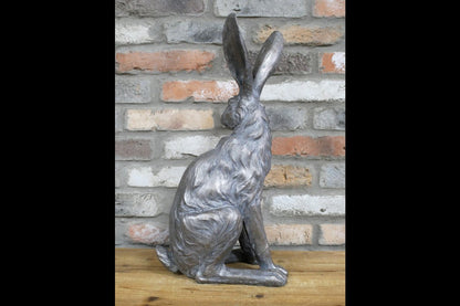 Sitting Rabbit