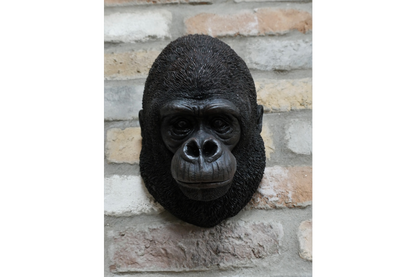 Gorilla Head