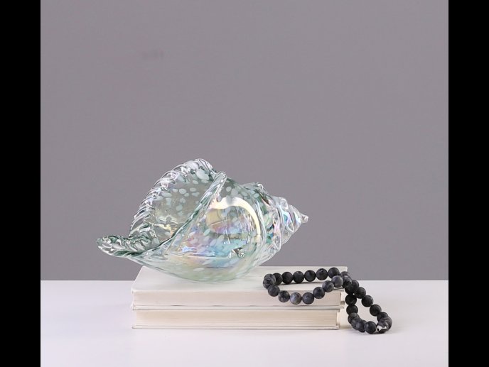 Glass Shell