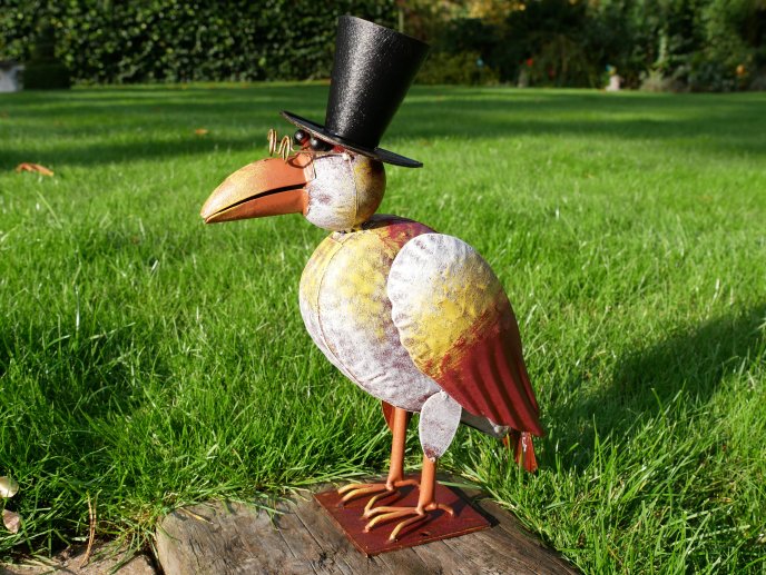 Bird In Top Hat