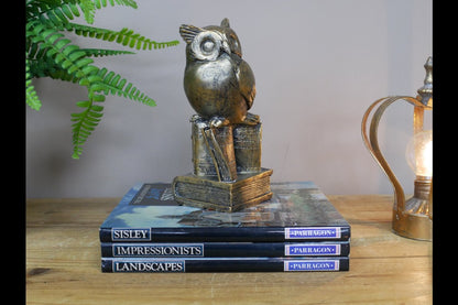 Owl Stood On Books