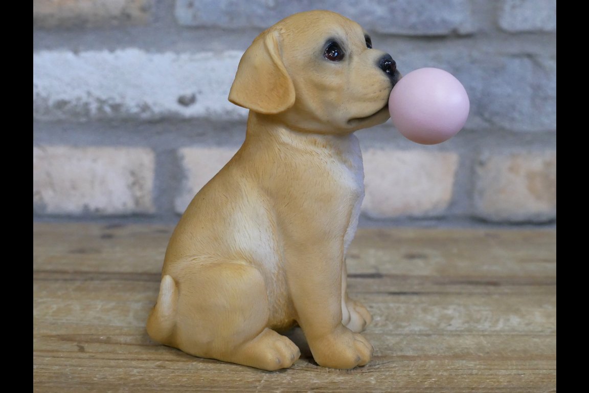 Bubblegum Dog