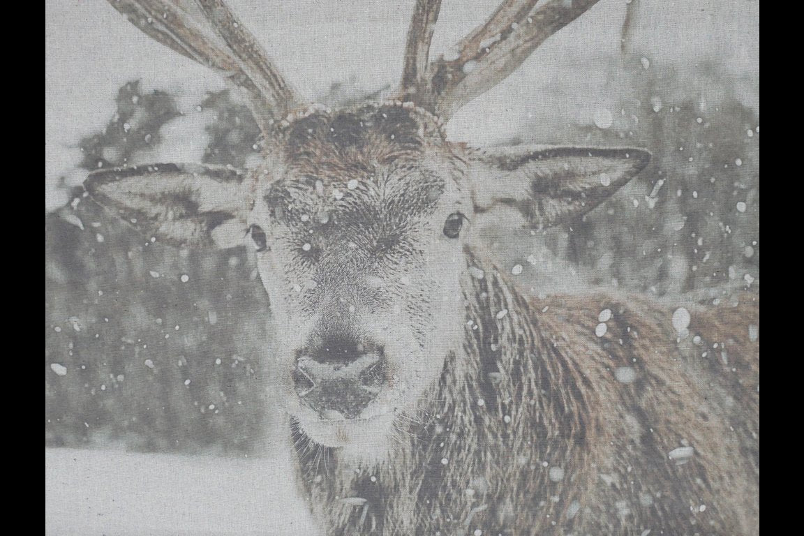 Wall Art - Stag