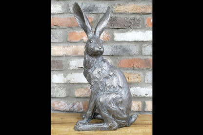 Sitting Rabbit