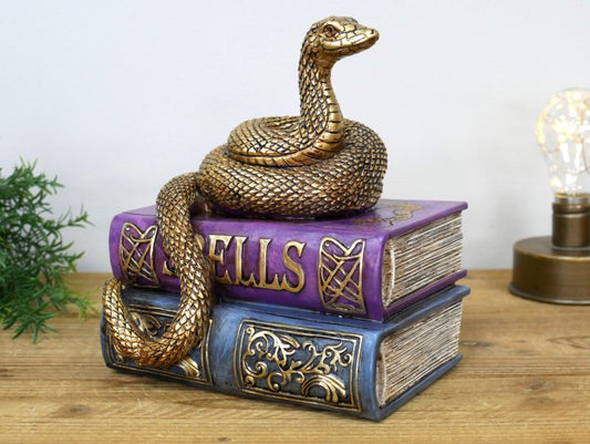 Snake On Spell Books
