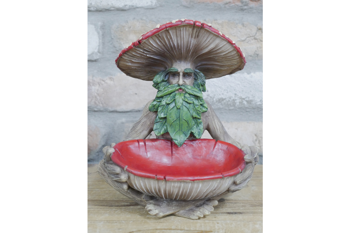 Mushroom Man