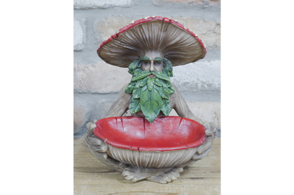 Mushroom Man