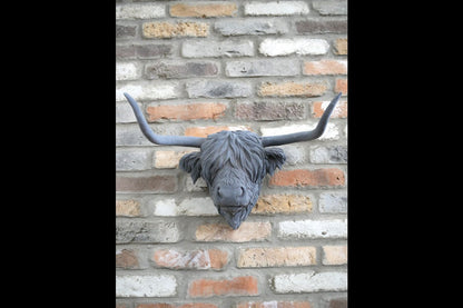 Cow Head