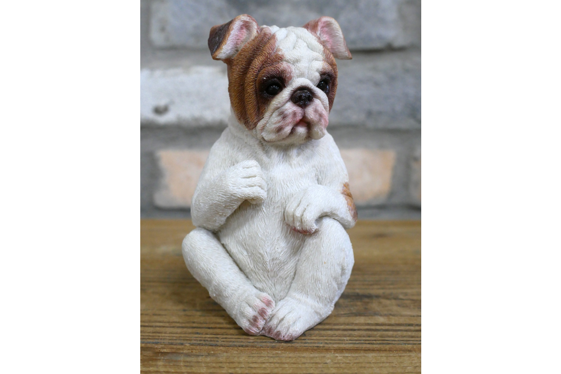 Who Done It Bulldogs (Set of 3)