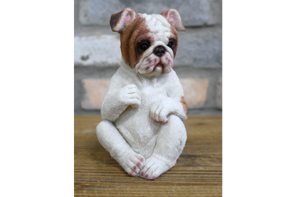 Who Done It Bulldogs (Set of 3)