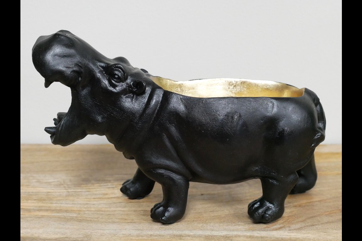 Hippo Dish