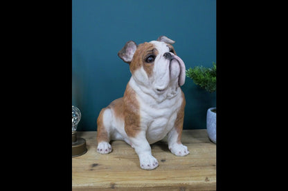 Sitting Bulldog