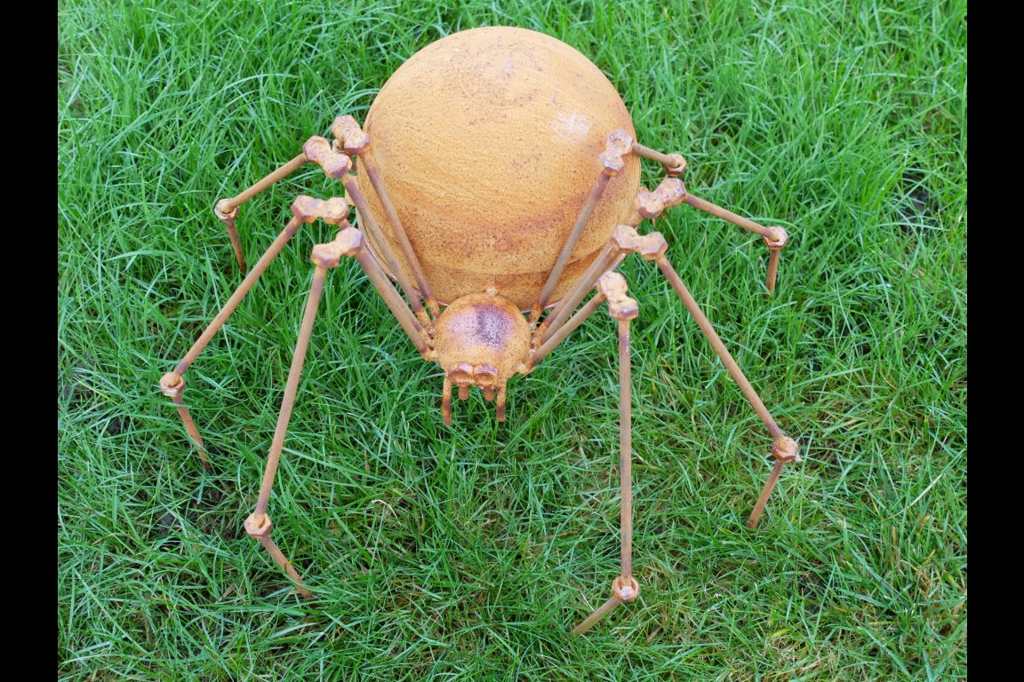 Rusty Spider