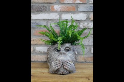 Monkey Head Planter