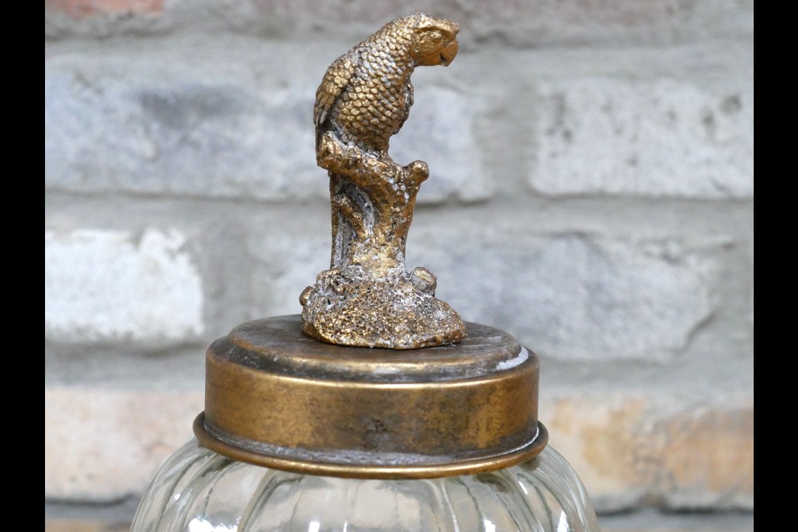 Bird Jar