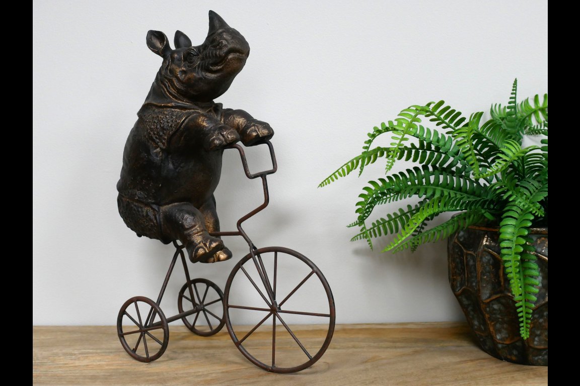 Rhino On Tricycle