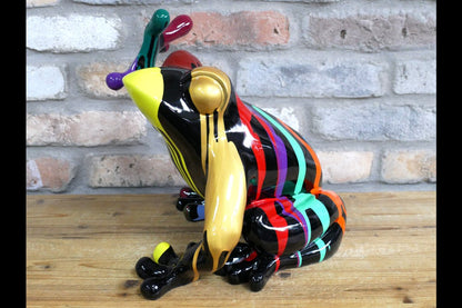 Multi Colour Frog