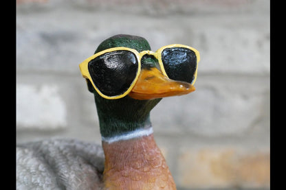 Duck In Shades