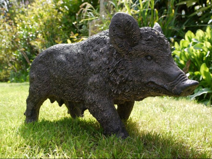 Pig