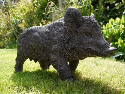 Pig