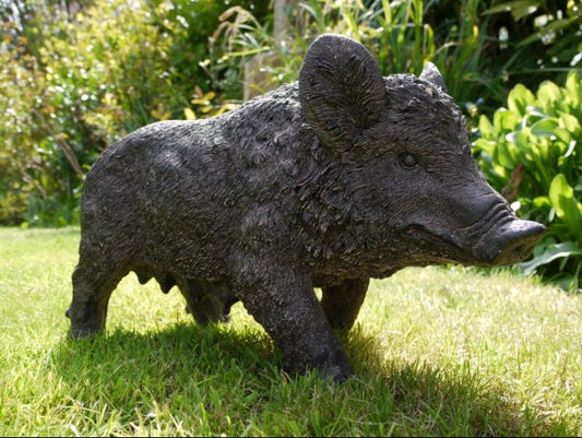 Pig