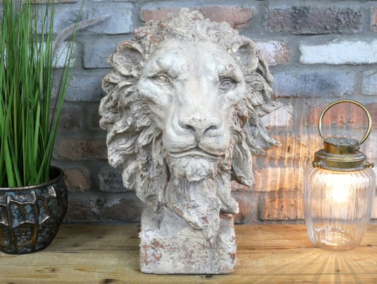 Lion Head