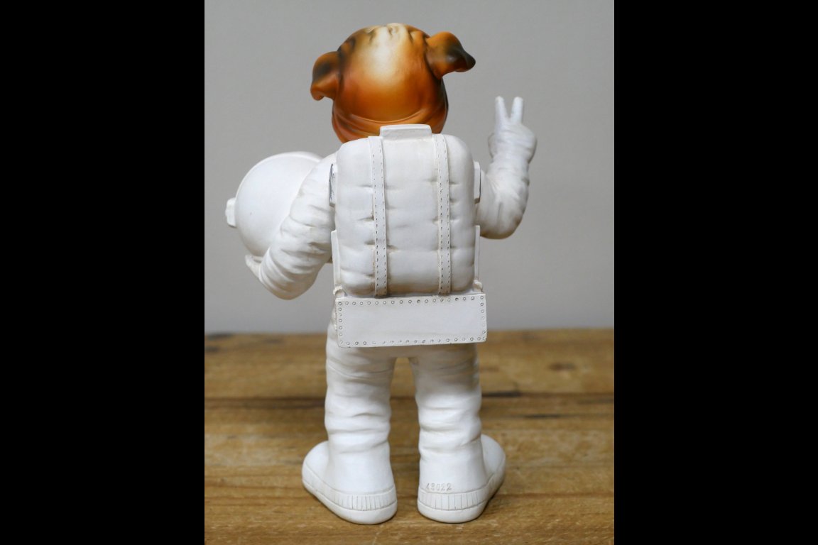Elon Woof Spaceman