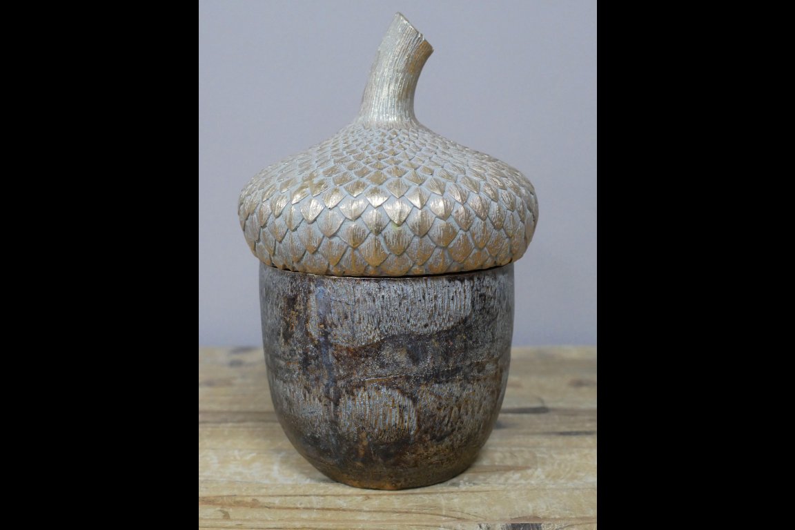 Acorn