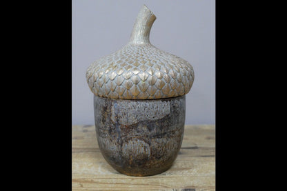 Acorn