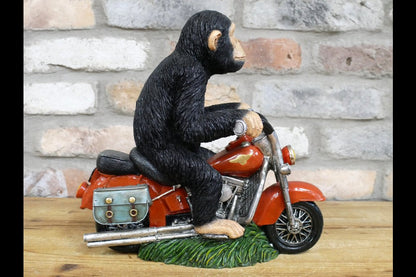 Monkey On Motorbike