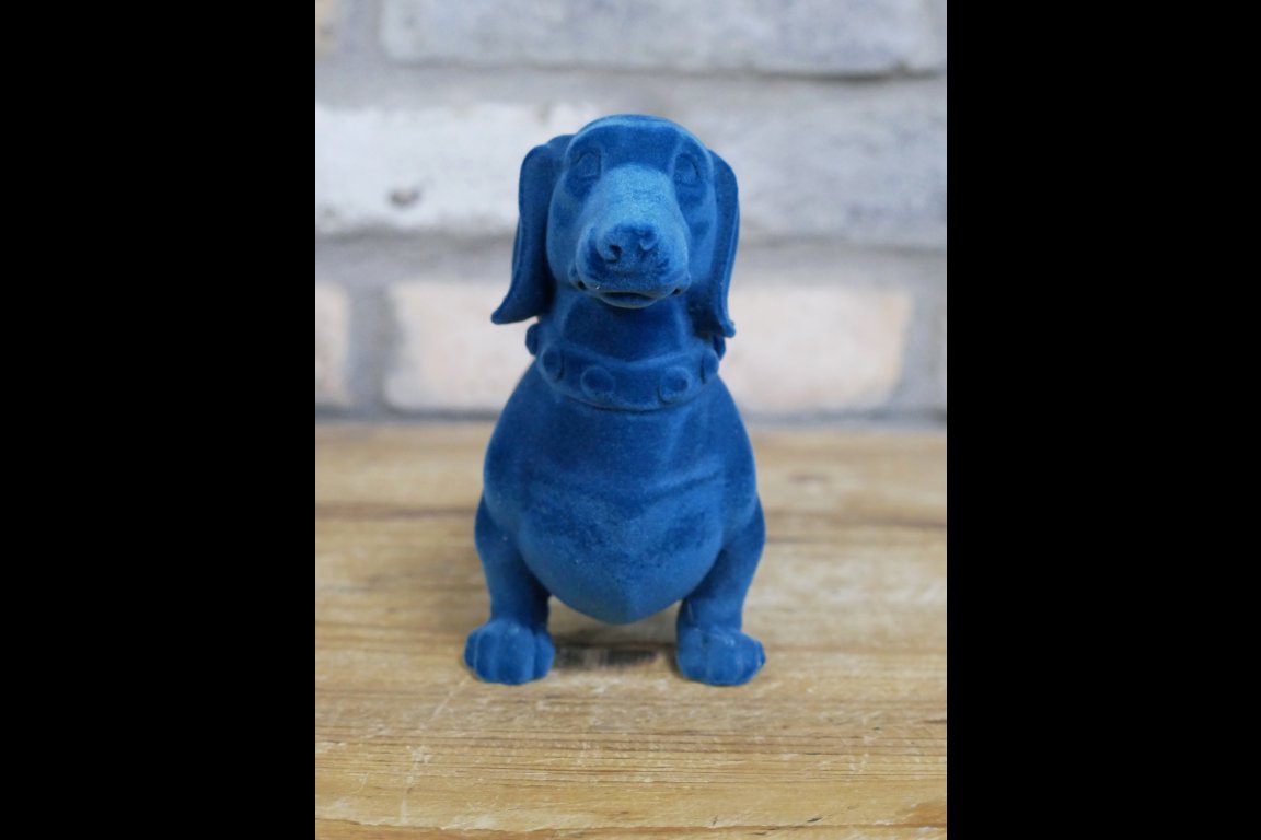 Blue Dachshund Dog