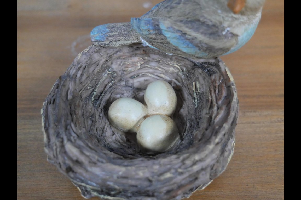 Bird Nest