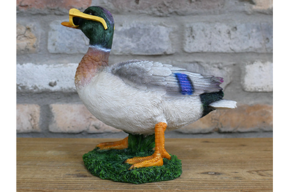 Duck In Shades