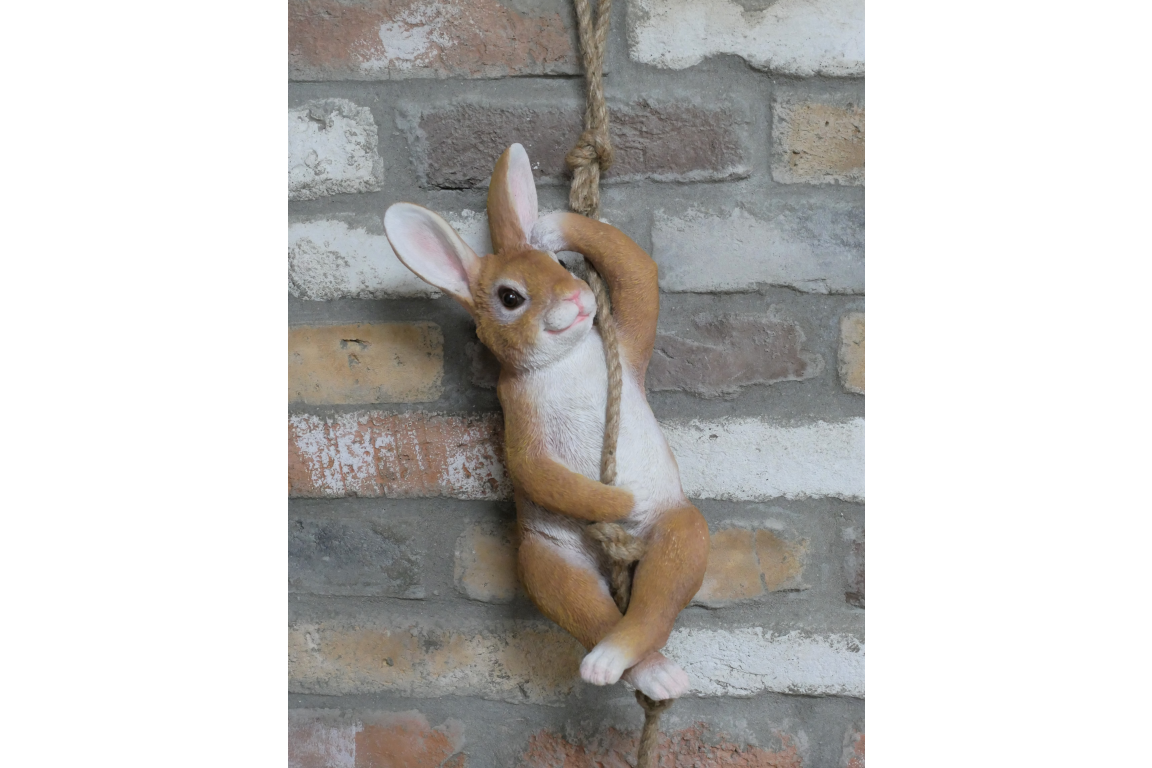 Hanging Rabbit