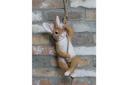 Hanging Rabbit