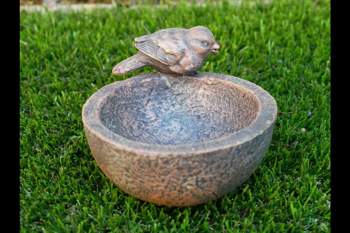 Bird Bowl
