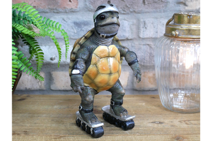 Speedy Tortoise