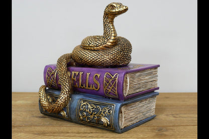 Snake On Spell Books