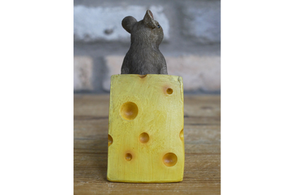Mouse Sat On Cheese