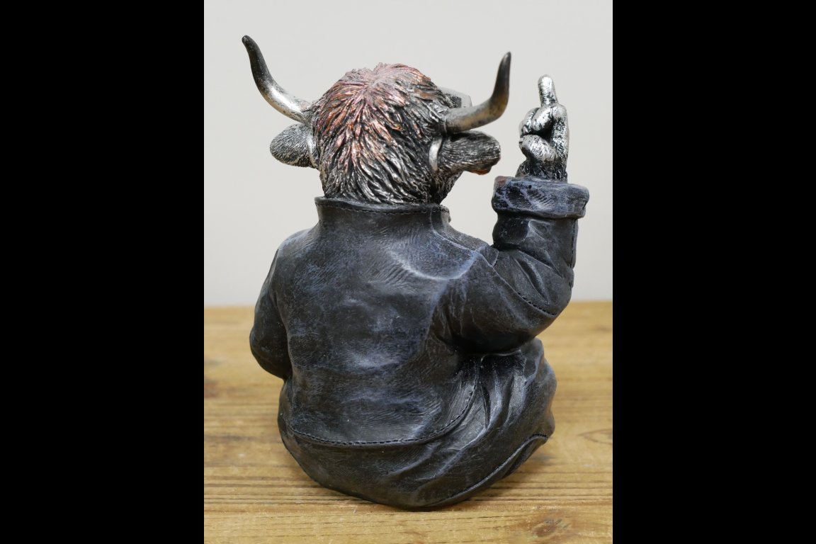 Naughty Highland Cow
