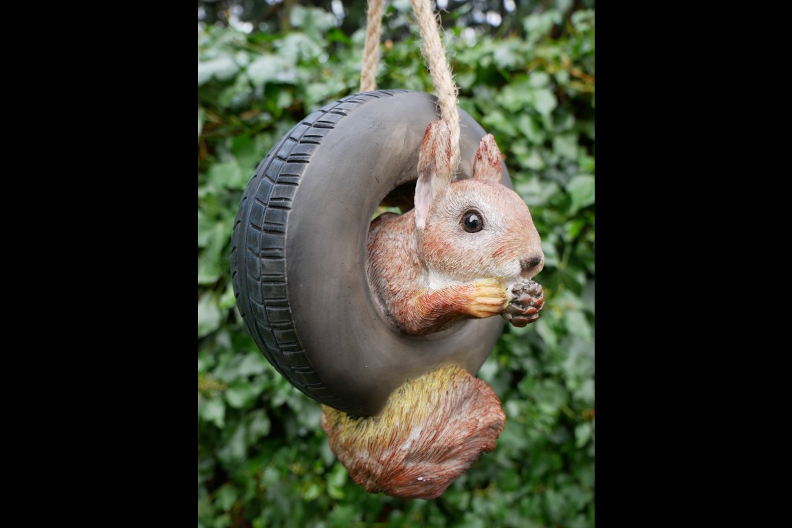 Squirrel In Tyre