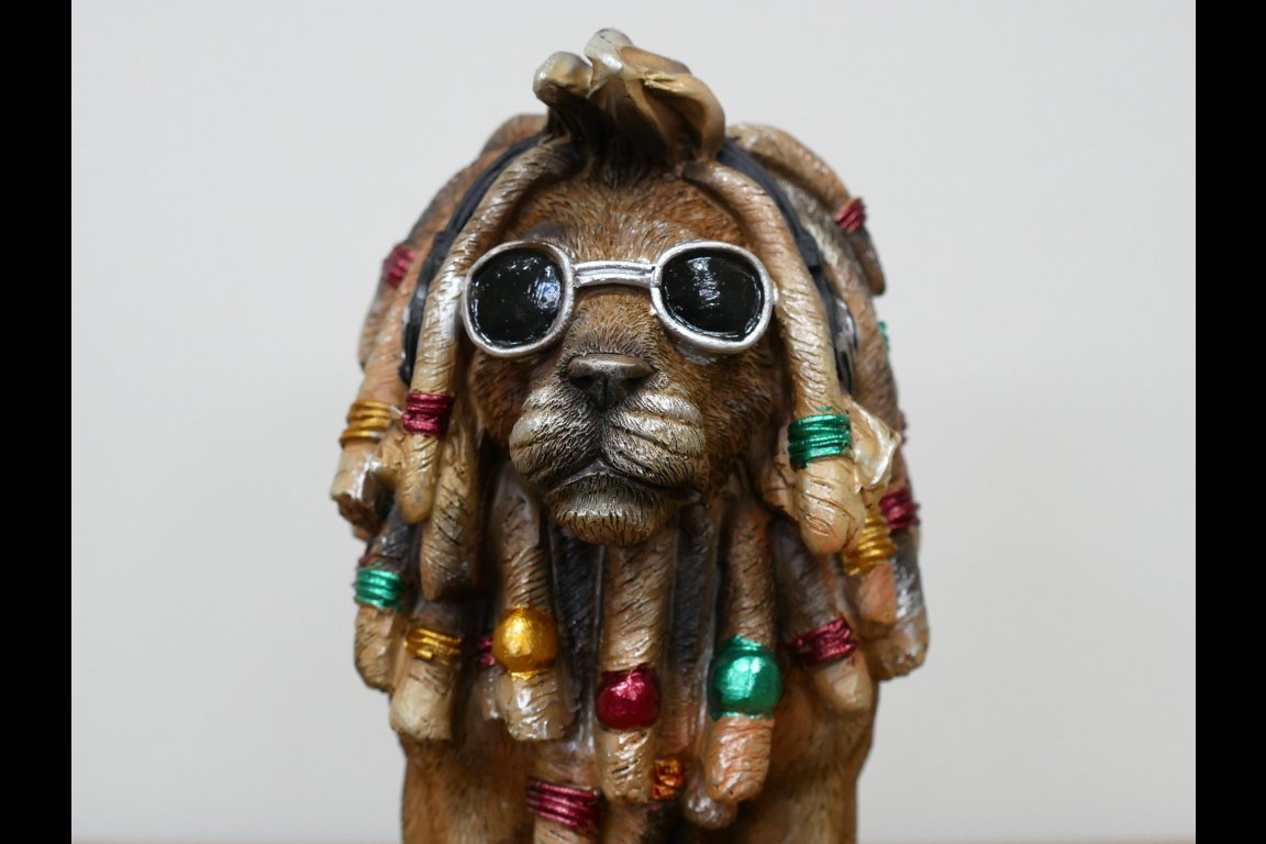 Dreadlocks Lion