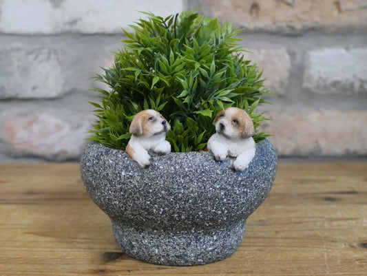 Small Dog Trough