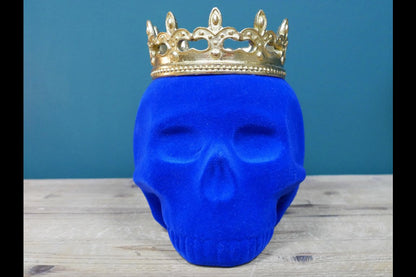 Blue Skull With Crown