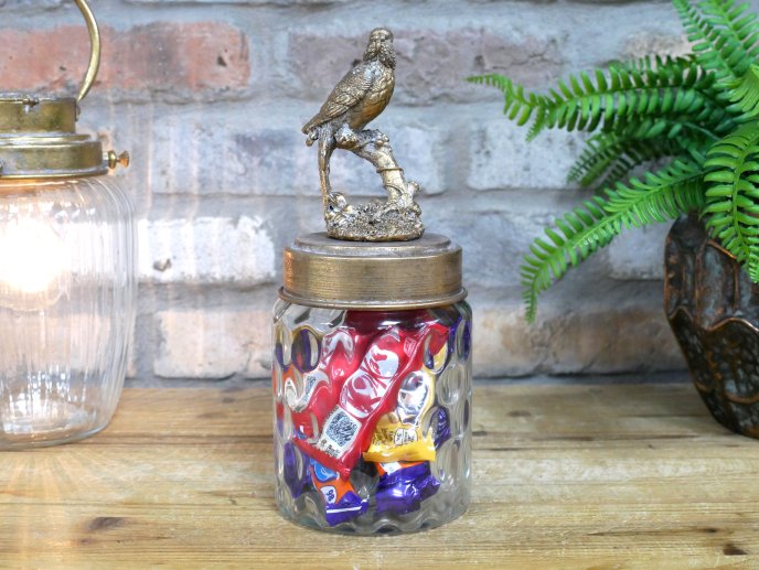 Bird Jar