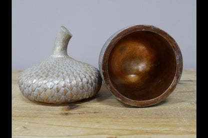 Acorn