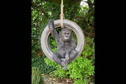 Gorilla On Tyre Swing