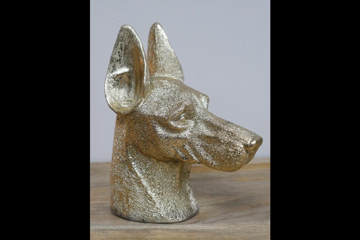 Dog Head